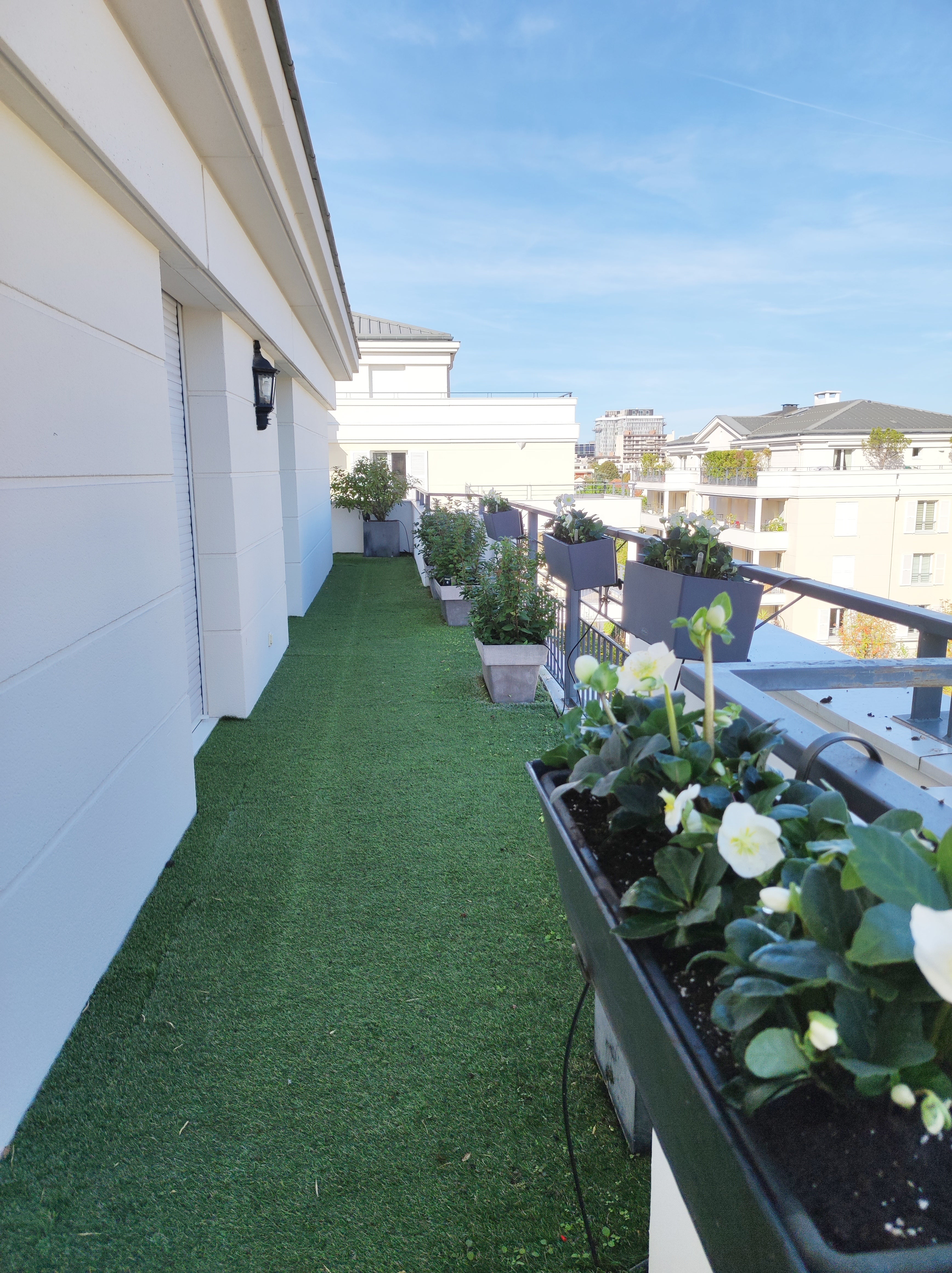 Cadre Végétal Bordeaux  Boby la Plante – bobylaplante