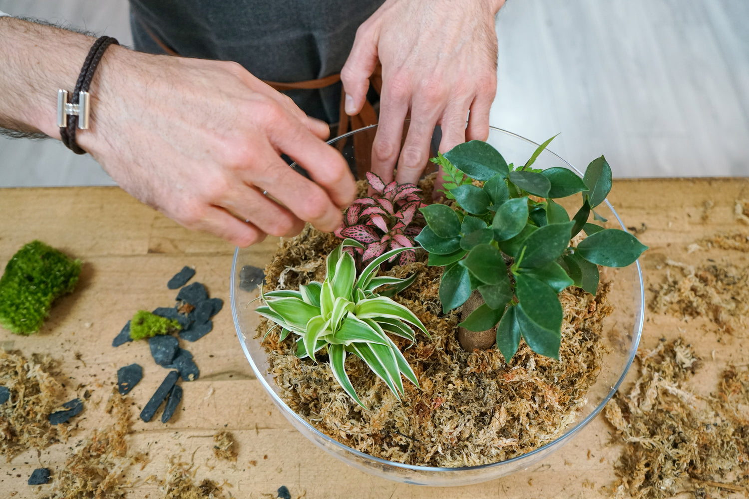 Un atelier terrarium kids-friendly grâce à Boby la plante – Maman Bougeotte