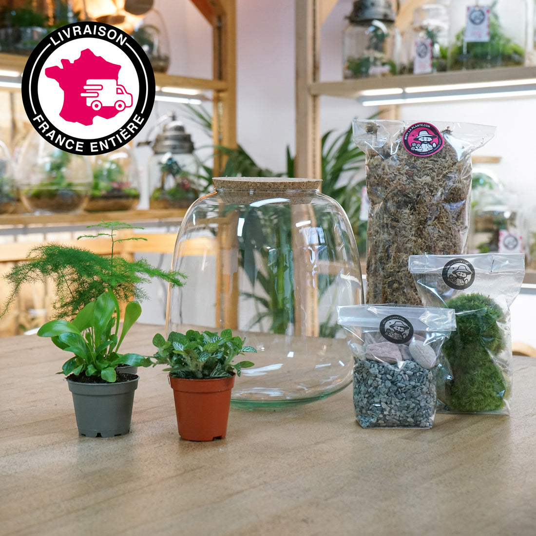 Fabriquer son terrarium avec le kit Boby la plante 💚 - Lucky Sophie blog  famille voyage